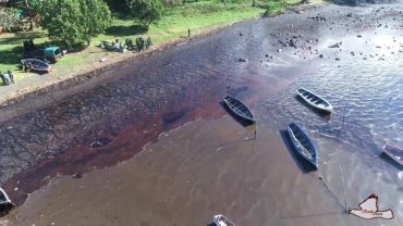mauritius oil spill
