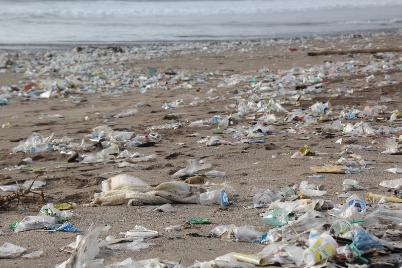 plastic litter ocean