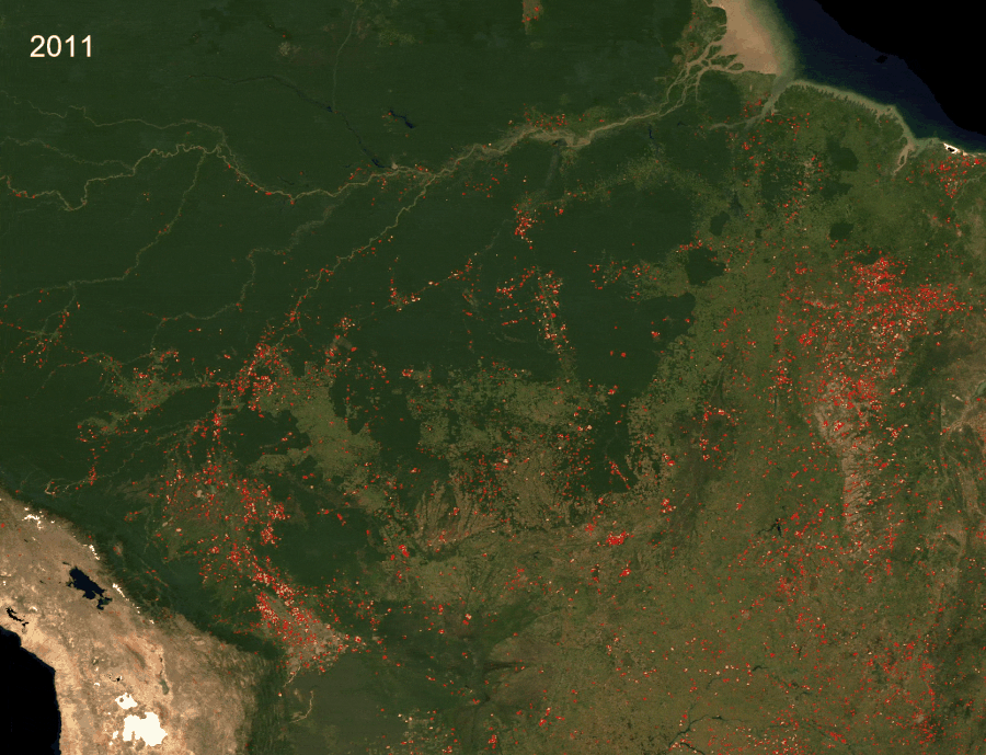 What Satellite Imagery Teaches Us About The Amazon Rainforest Earth Org Kids