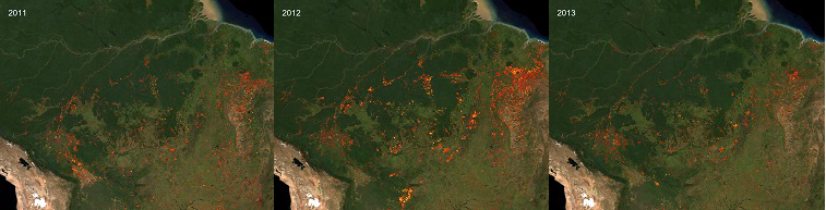 satellite amazon rainforest 2011-2013
