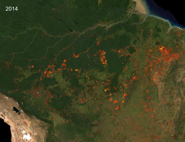 satellite amazon rainforest 2014
