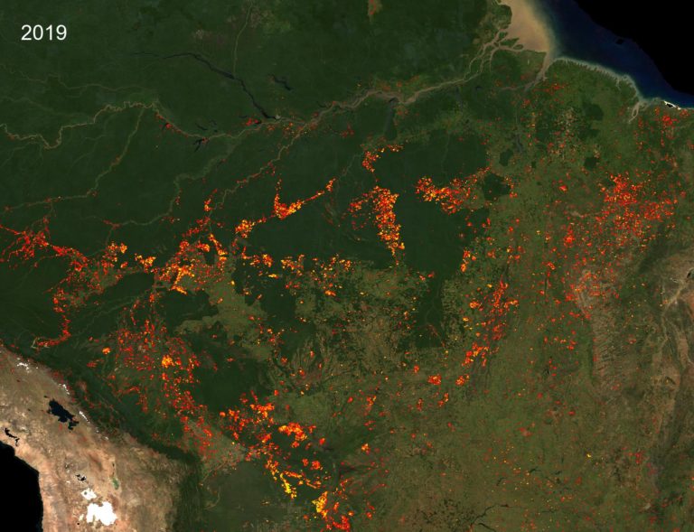 satellite amazon rainforest 2019