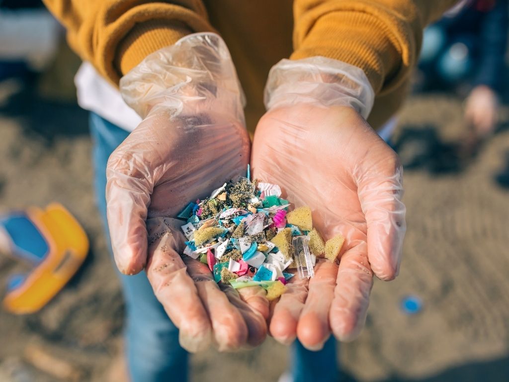 HOW ARE MICROPLASTICS HARMFUL TO THE ENVIRONMENT visual data 8