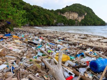 what is plastic pollution