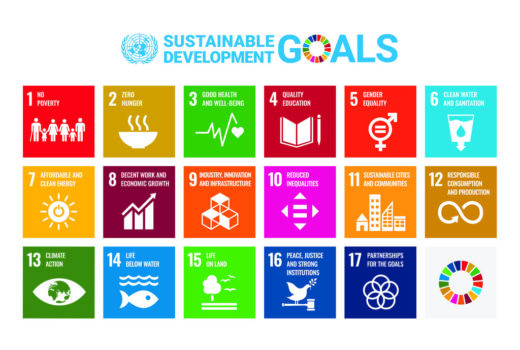 What are the sustainable development goals