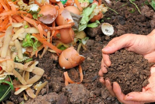 ways to reduce food waste
