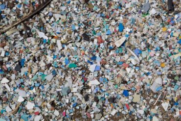 great garbage patch; plastic pollution; plastic in the ocean