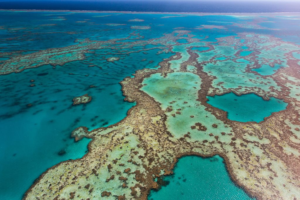 great barrier reef in Australia