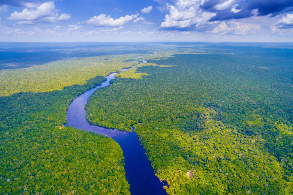 Amazon River; Amazon rainforest