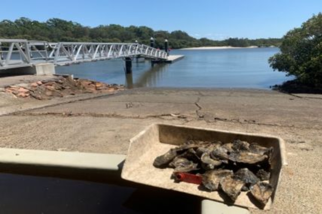 Sydney Rock Oyster Breeding Program.